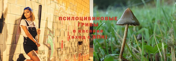 гашиш Арсеньев