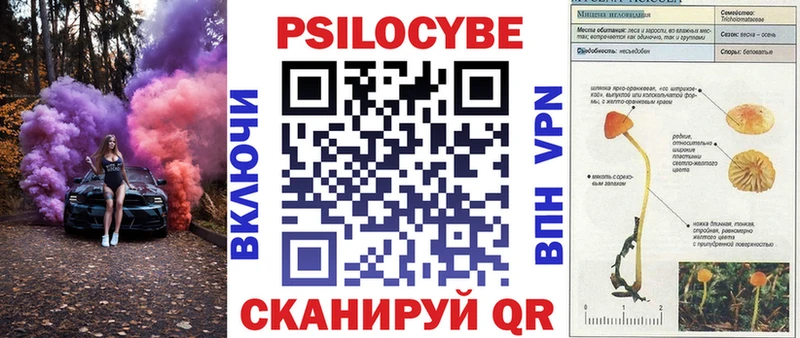 Псилоцибиновые грибы ЛСД  Мыски 