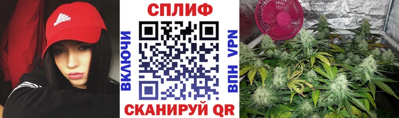 наркота  Мыски  Марихуана MAZAR 